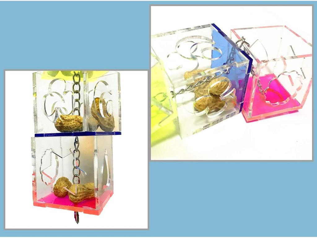 Parrot Foraging Toy: Acrylic Fruit Birdcage Accessory - Educational and Cute Bird Toy