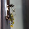 Acrylic Fish Keychain Accessory for Bag Use and Daily Carry, Metal Hook Detail, Fishing Theme Style for Display Placement
