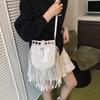 Niche High-end Women's Bag 2025 New Fringed Small Square Bag Simple and Versatile Messenger Mobile Phone Bag Shoulder Bag