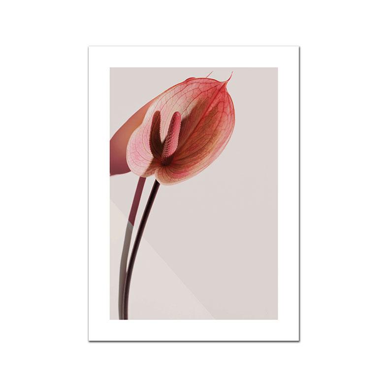White Pink Red Flower Posters and Print Beatiful Peony Lily Poppy Canvas Painting Modern Wall Art Picture Living Room Decoration