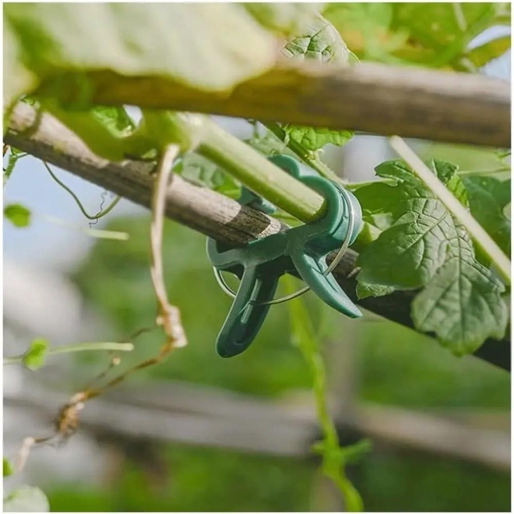10 Buc Clip de Fixare Plante Tip Inel cu Pârghie Reutilizabil Clip Suport Viță de Vie Suport pentru Seră Accesorii de Grădină