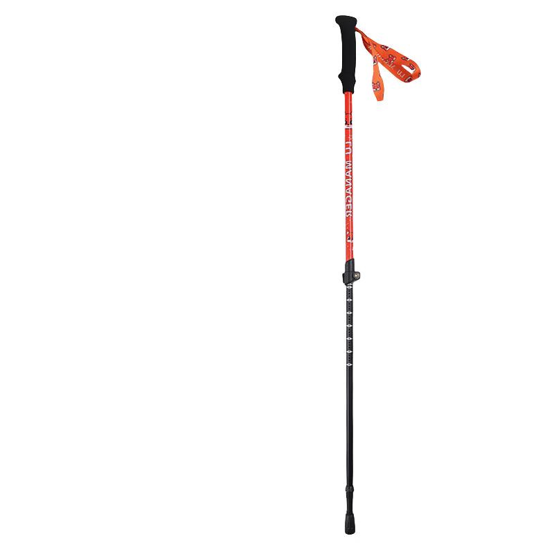 Carbon Fiber Kids Trekking Pole