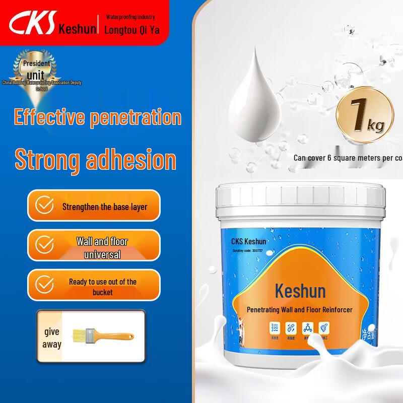 CKS Wall Primer and Fortifier