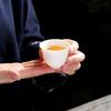 Elegant White Porcelain Gongfu Tea Set