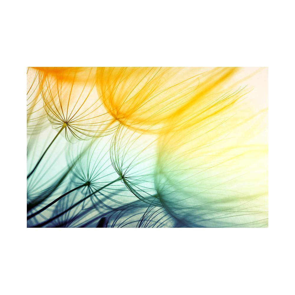 Romantic Dandelion Background Tapestry for Events,Party Banner,Home Decor,Weddings,Photo Booths