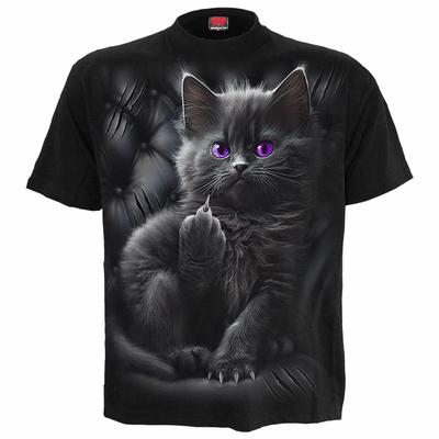 SPIRAL DIRECT CATTITUDE T Shirt Funny Cat Kitten Cute Boss Unisex Top Tee