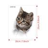 Lovely Cat Toilet Stickers For Wc Washroom Decoration Diy Vivid 3d Look Pet Animal Home Decals Pvc Wall Mural Art Print Posters