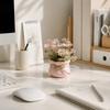 Mini Potted Plants Ornaments Simulation Plants Gifts Artificial Potted Flowers  Dining Table Decor
