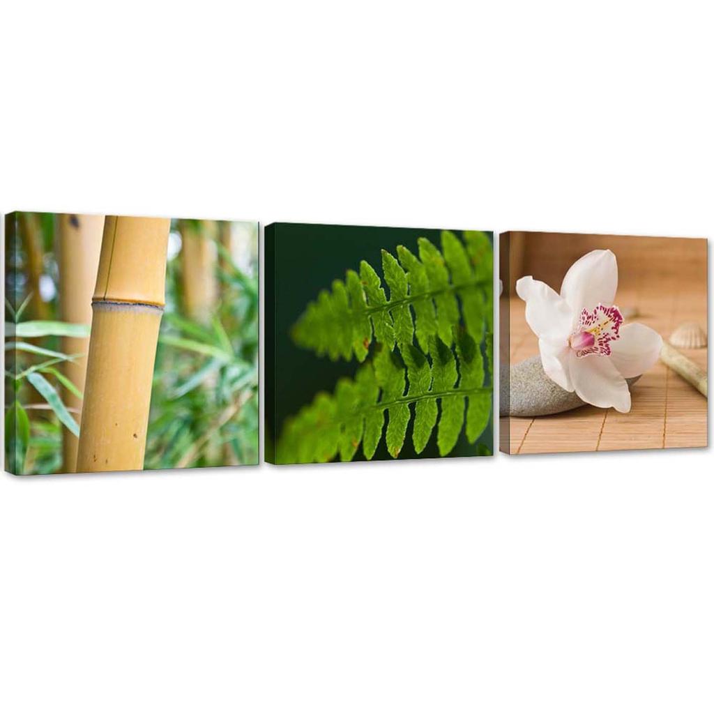Set of Three Pictures Canvas Print Nature Plants