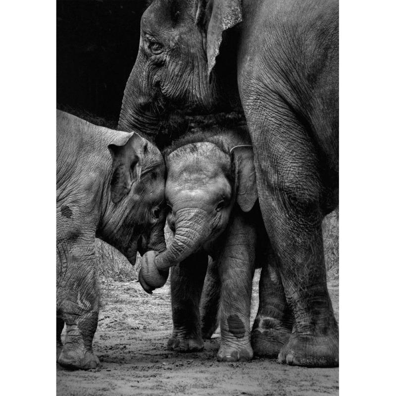 Vahşi doğa, fil, aile posterleri, tuval, resim, hayvan, baba, anne, çocuk, sevgi, modern oda için duvar sanatı resim