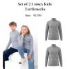 Set of 2 Unisex Kids' Turtlenecks "School Style" Any Season 6068-1V-pak2 HC
