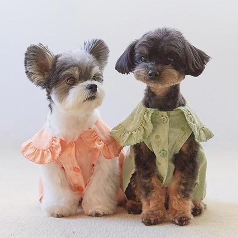 MIMINKO Dot Balloon Blouse [DW4SB1050]