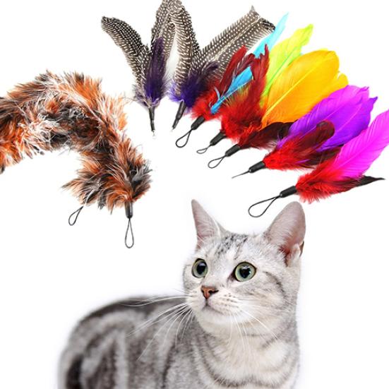 9 Pcs Multi Piece Replacement Feather Teaser Kitten Toy Interactive for Cats Wand