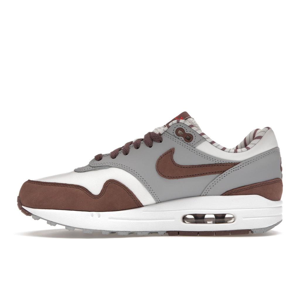 Nike Air Max 1 Premium 'Shima Shima' FB8916-100