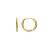Luxenter and 18k Gold Plated Earrings - Viaga