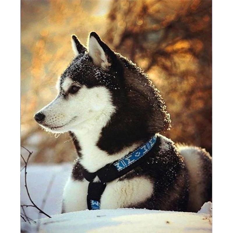 5D DIY Diamond Painting Cute Puppy Diamond Mosaic Diamond Embroidery Full Set Cross Stitch Kits Home Decor Gifts