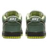 Concepts X Nike SB Dunk Low "Green Lobster" BV1310-337