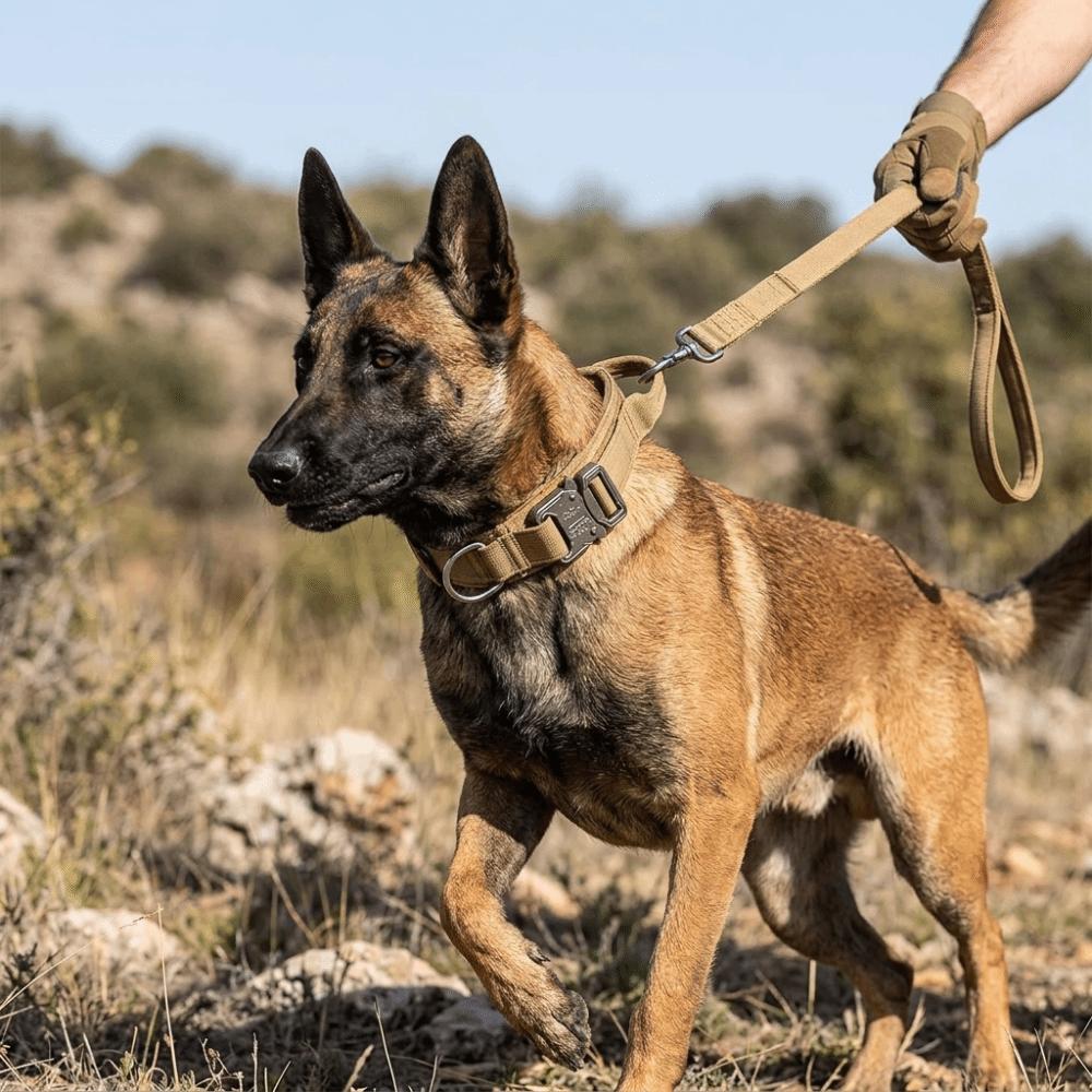 Breiter Halsring Großer Hundehalsriemen Verstellbarer Riemen Trainingshalsband für Hunde Tägliches Gassi gehen