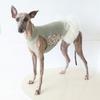 Petstyle Star Flare Waltz Tutu Dress Italian Greyhound Whippet Dog Clothes