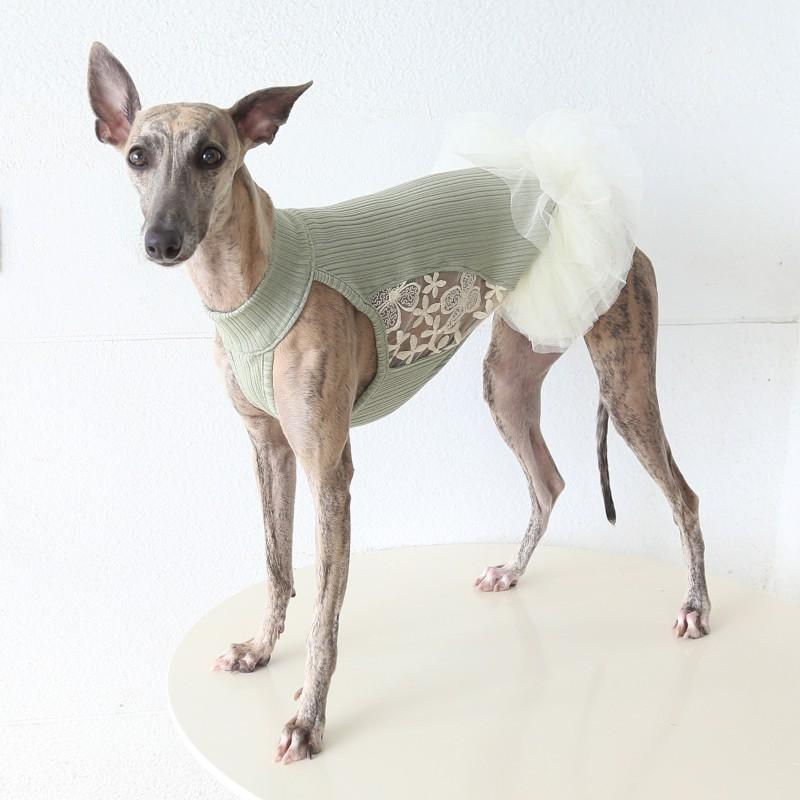 Petstyle Star Flare Waltz Tutu Dress Italian Greyhound Whippet Dog Clothes