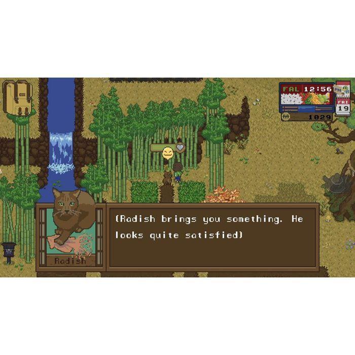 Spirittea-jeu-switch