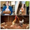 6PCS Nesting Liner Nest Box Chicken Mat, Nest Mat Box Liner, Chicken Coop Chicken Mat, Chick Mat Bird Nest Mat Rabbit Mat