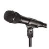 Audio-Technica Condenser Microphone AT2010 Handheld DTM Video Streaming Home Recording Podcasting Live Commentary Black