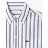 Lacoste Women S overSized Poplin Shirt Cf7706 54n Iba q2nCf7706 54nIba