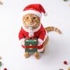 Weihnachts-Haustierkostüm mit Weihnachtsmütze und Körper-Outfit, Charakter-Präsentation mit Geschenketransport für saisonale Fotos