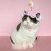 Handmade Cute Pet Knitted Hat with Small Flower Decoration for Dogs