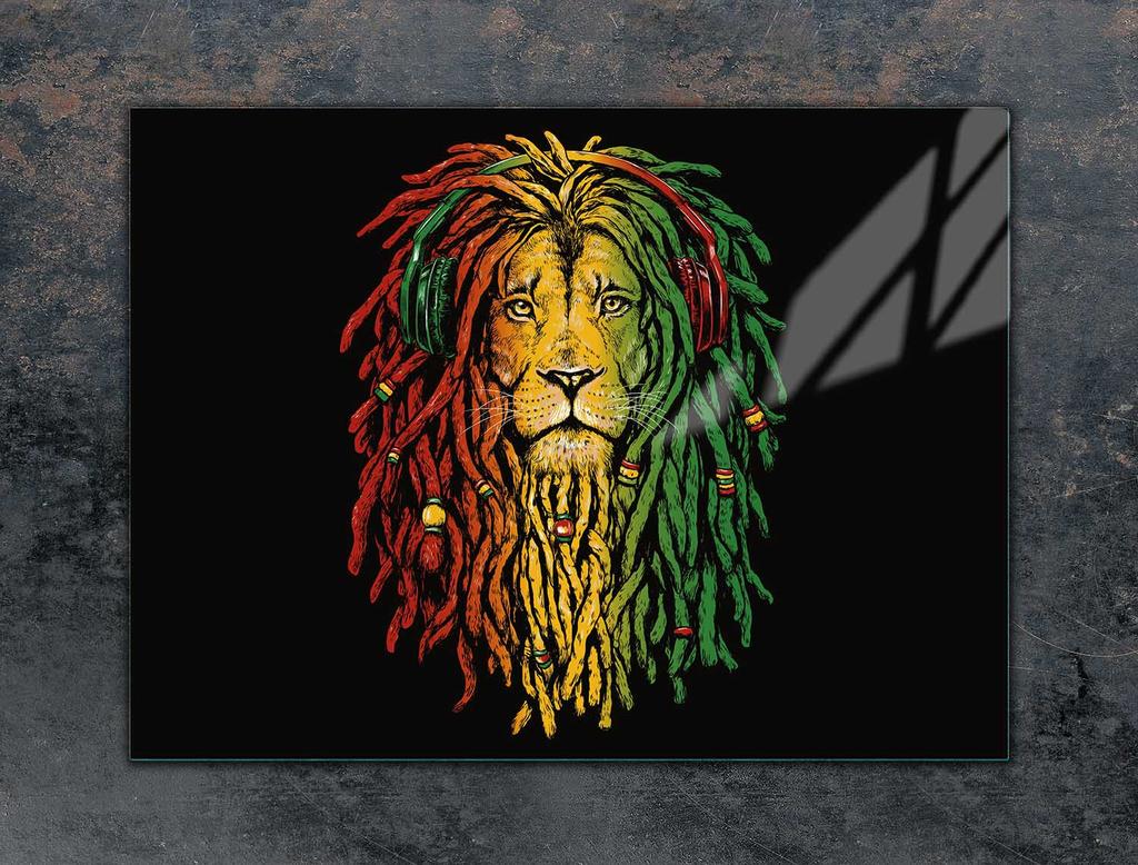 PLAQUE DE PROTECTION EN VERRE POUR PLAQUE DE CUISSON 70x52 LION