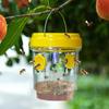 Insect Wasp Trap Asian Hornet Trap Removable and Reusable Wasp Catcher Fruit Fly Trap Moth Trap Fly Trap Tools