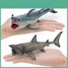 Simulated Model Shark Marine Organism Plastic Sculpture Decoration Desktop