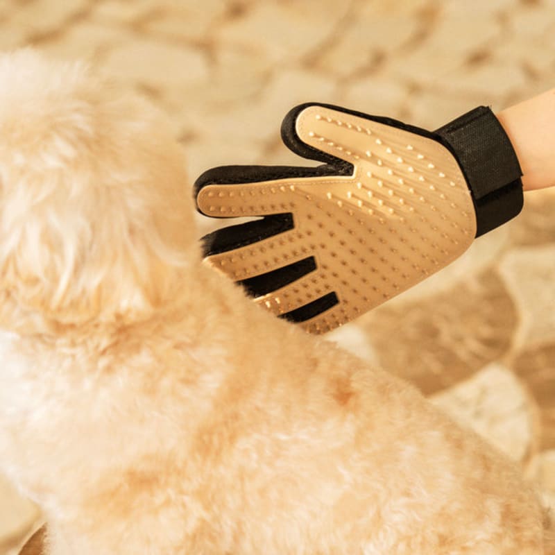 [Pet] Glove-Type Brush