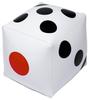 Igarashi Dice Ball (Inflatable Type) 50cm BFA-130
