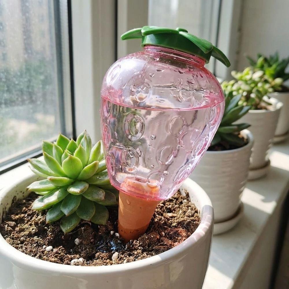 Water Conservation Succulent Plant Sprinkler Transparent Automatic Watering Device Indoor Plants