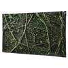 PVC Adhesive Trees Jungle Pattern Aquarium Background Poster Sticker Reptile   Decoration