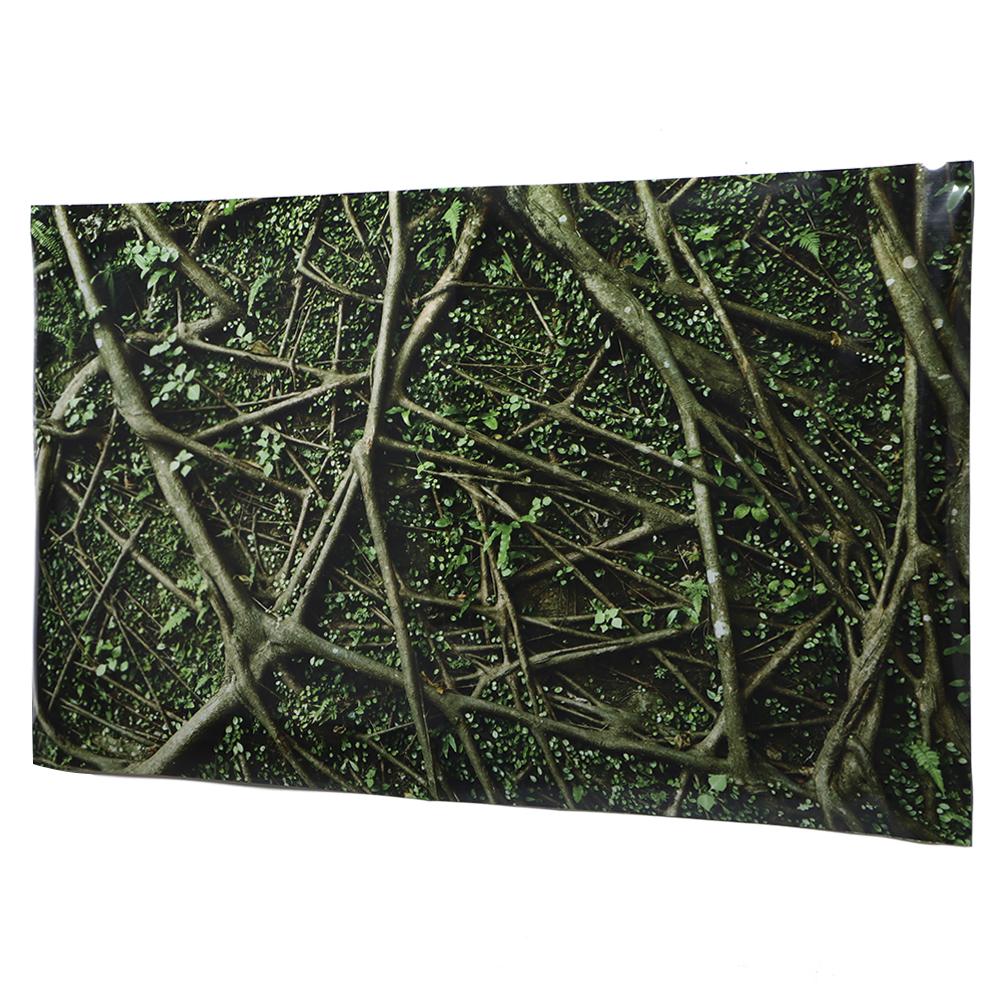 PVC Adhesive Trees Jungle Pattern Aquarium Background Poster Sticker Reptile   Decoration