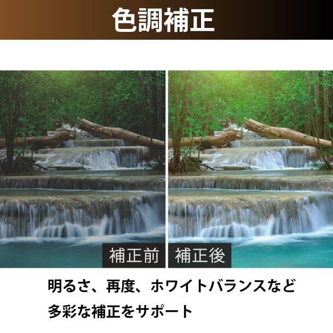 PhotoDirector 2025 Ultra Standard Edition Image Editing Software Color Correction AI Features Perpetual License Windows Compatible