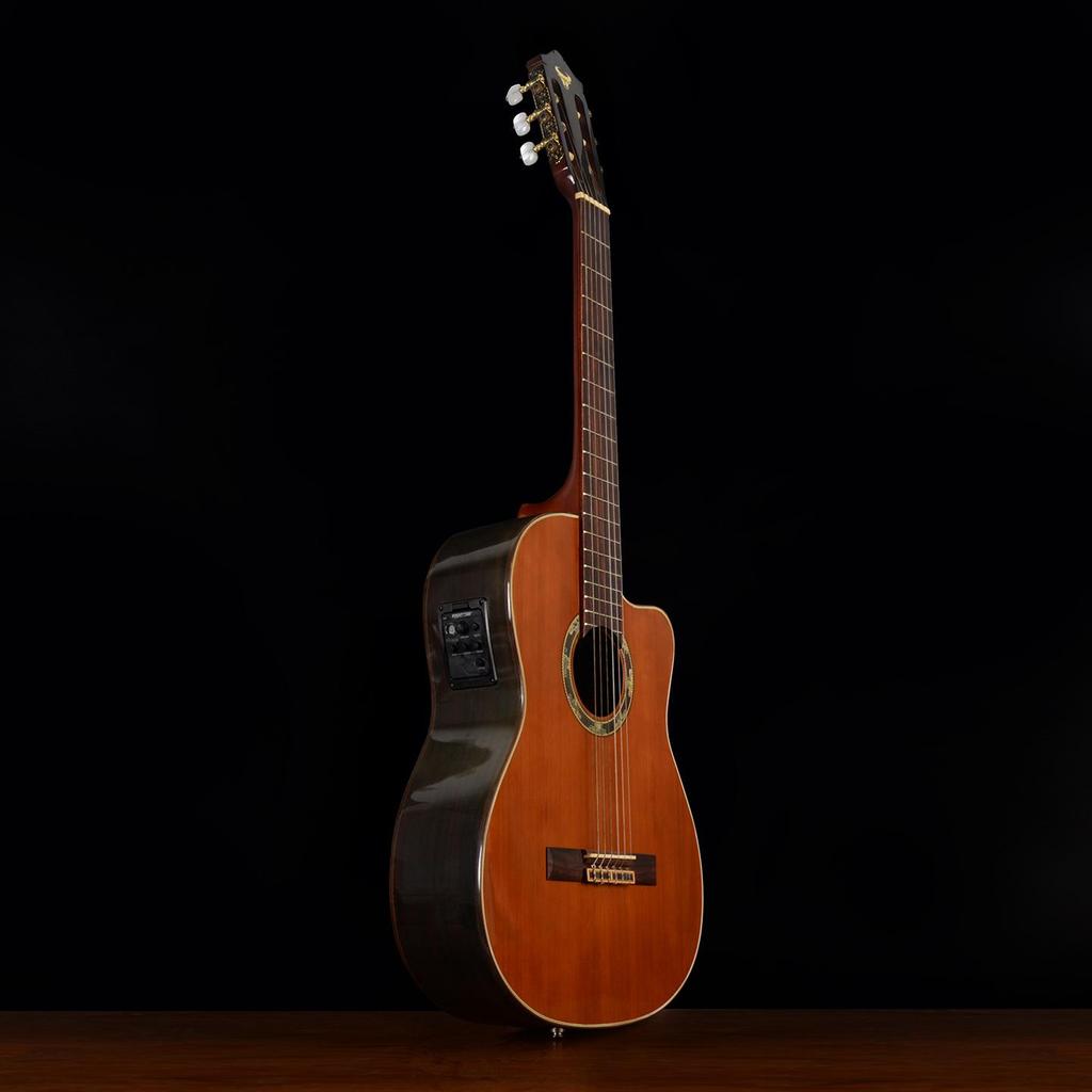 Pevná vrchní deska, Akusticko-elektrická klasická kytara, Výřez (Cutaway), Červený smrk, Nylonové struny, Pokročilá hra, Unisex