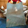 Artist L-Lisbeth Z-Zwerger Throw Flannel Cozy Print Blanket, Portable, Durable Machine Washable Cute Cool