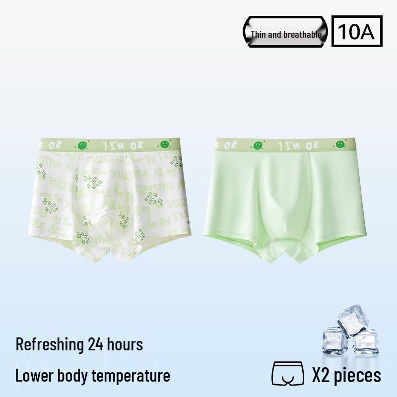 

Teen Boys Ice Silk Antibacterial Boxer Briefs, Ages 15-18, Medium/Large 4XL 90-100 kg