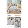 Thickened Milk Velvet Bed Cover for Autumn and Winter, Warm Cotton Bed Sheet with Velvet Mattress, Tatami Bedding