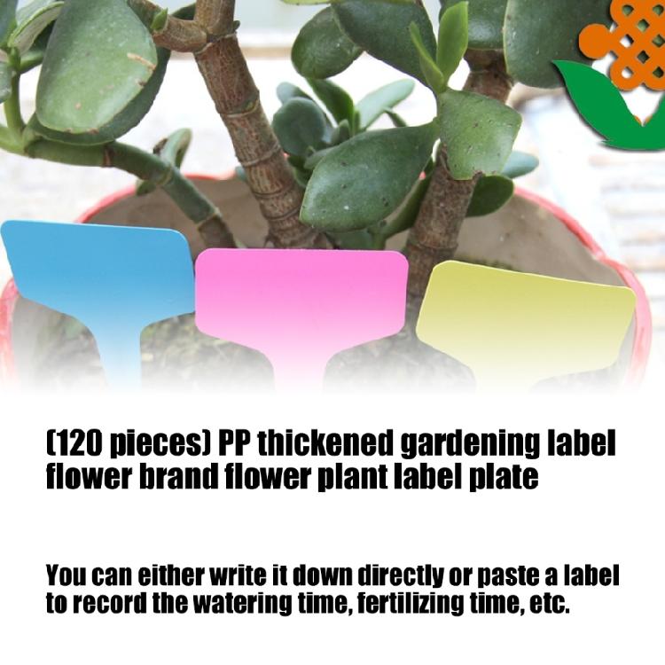 120Pcs Plant Label T-Shaped Garden Marker Name Plate Outdoor Plant Vegetable Seedling Waterproof Handwritten