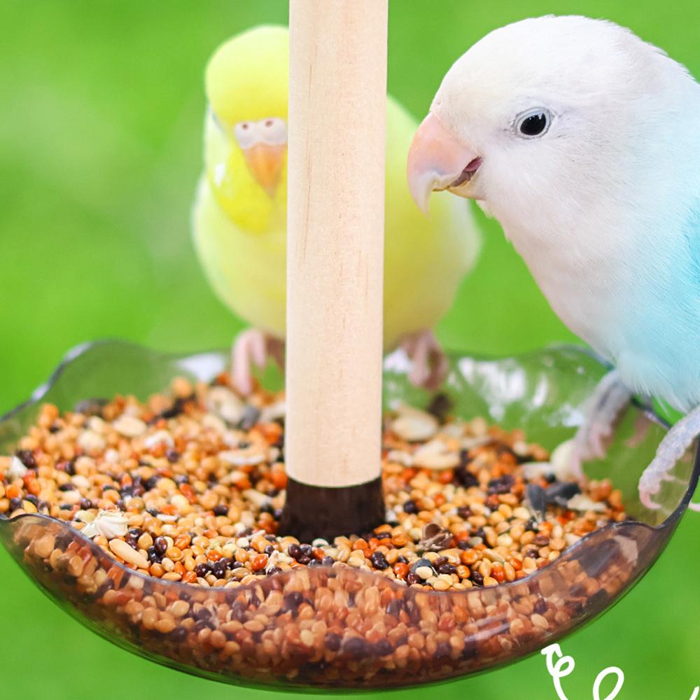 1 PC Bird Cage Feeding Cups Top Hanging Parrot Feeder Round Flower-shaped Bird Feeder Bowl for Pet Birds Parrot Cage Accessories