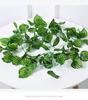 Artificial Green Grape Leaf Vine for Indoor Decor