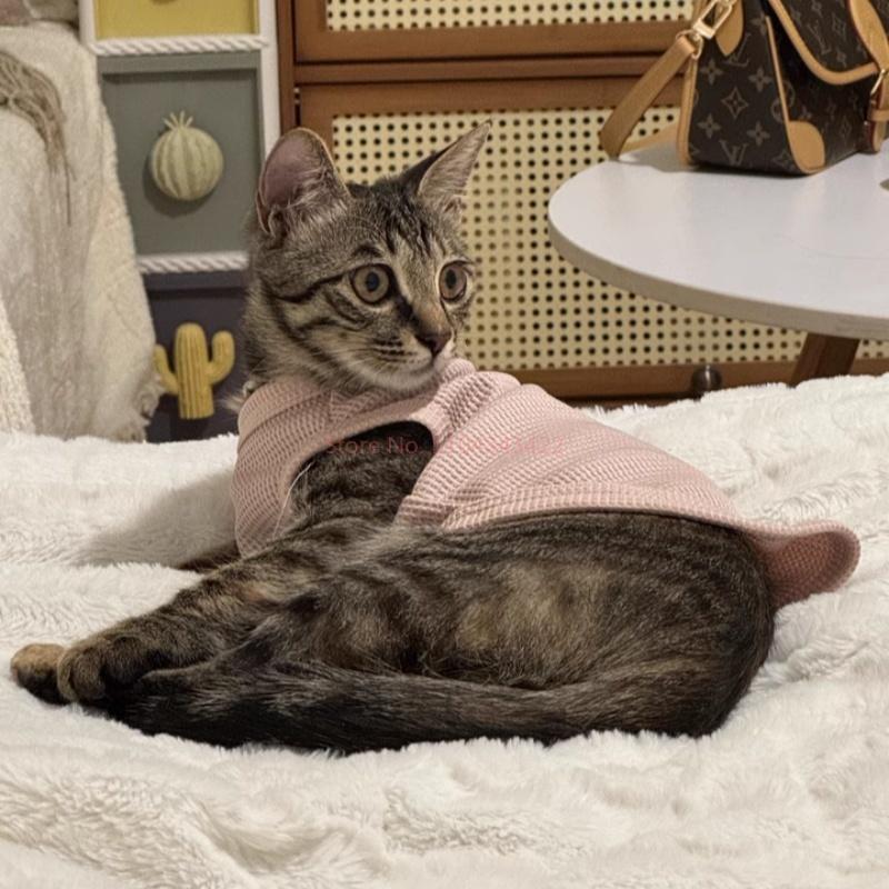 Pet Clothes Cat Vest for Persian Cat Siamese Kitten Spring Autumn Thin Teddy Bear Schnauri Dog Clothes Summer Small Dog Tank Top