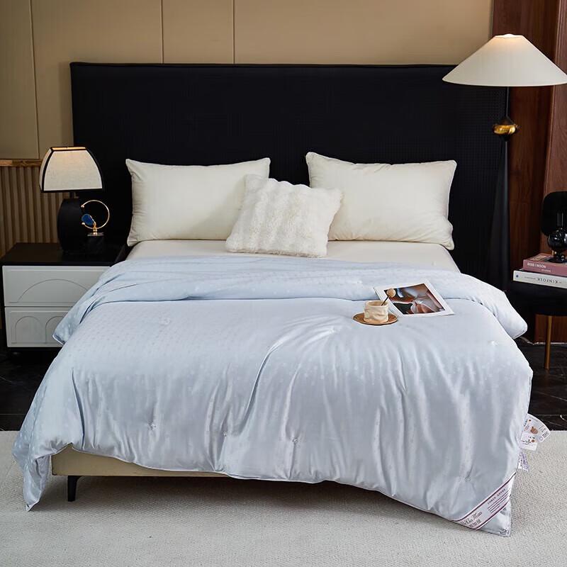 Bijiamen Verona Silver Thread Jacquard Tussah Silk Quilt
