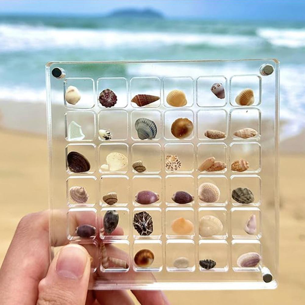 36/64/100 Grids Acrylic Seashell Display Box Case Clear Magnetic Storage Box Small Craft Container for Bead Nail Jewelry Holder