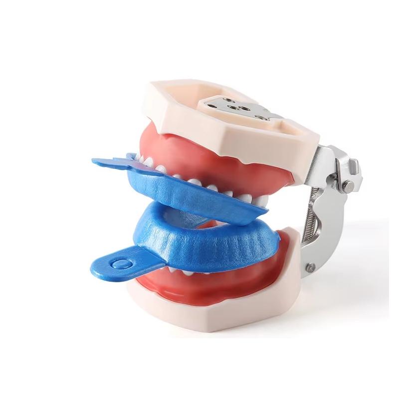 50 Pz/Borsa Vassoio Monouso Dentale Schiuma al Fluoro Portaimpronte Strumento Odontoiatrico Materiali per Dentista Grande Medio Piccolo
